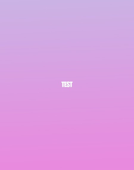 Test 11