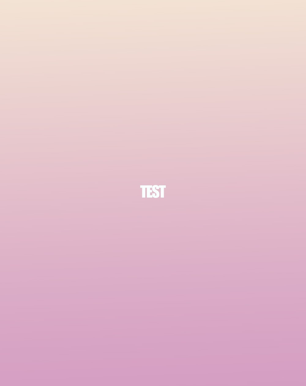 Test 17